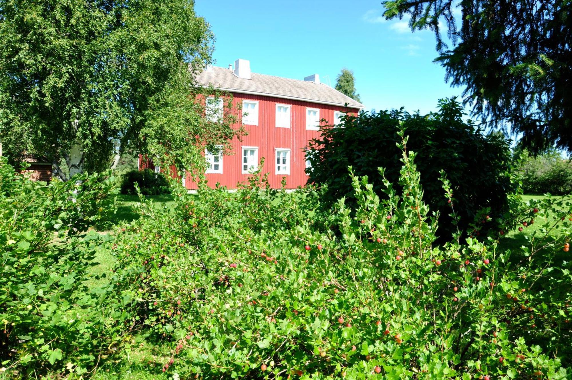 Opintola Bed & Breakfast Norinkyla Экстерьер фото